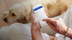 Medikament in Mediteo einrichten