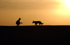dog-trainer-silhouettes-sunset