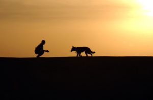 dog-trainer-silhouettes-sunset